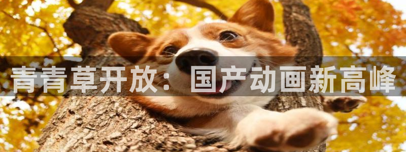 窝窝成人影院：青青草开放：国产动画新高峰