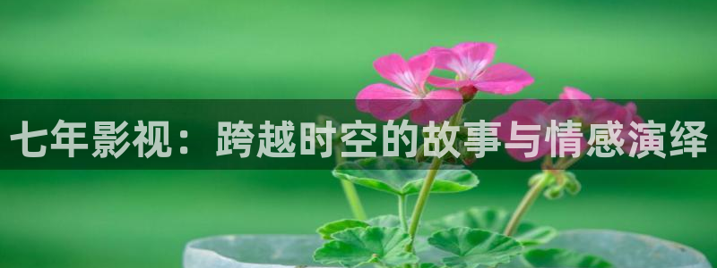 窝窝影院免费观看电视剧最新章节：七年影视：跨越时空的故事与情感演绎