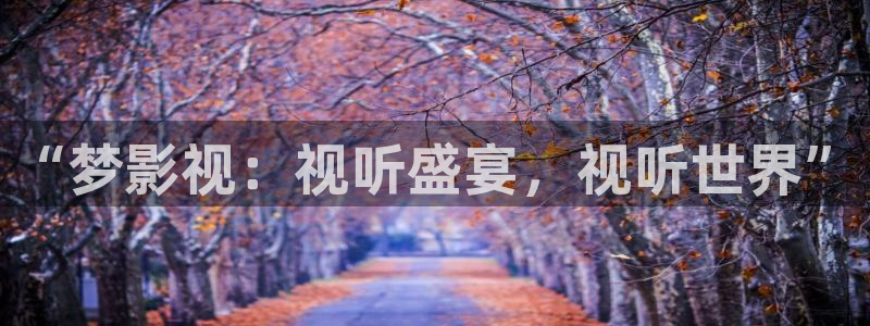 窝窝网免费电影：“梦影视：视听盛宴，视听世界”