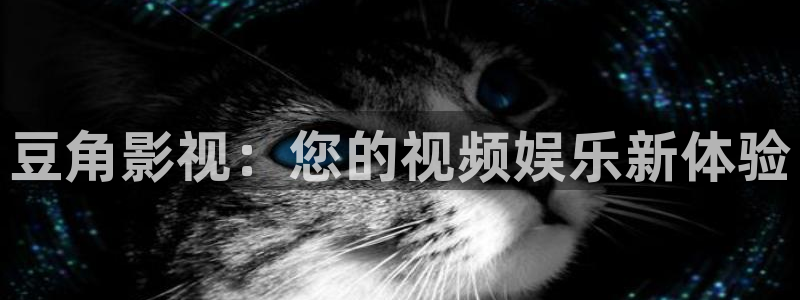窝窝视频在线：豆角影视：您的视频娱乐新体验