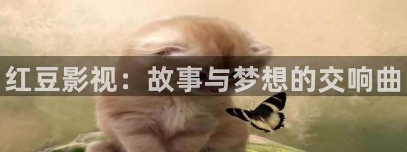 窝窝网电影大全：红豆影视：故事与梦想的交响曲