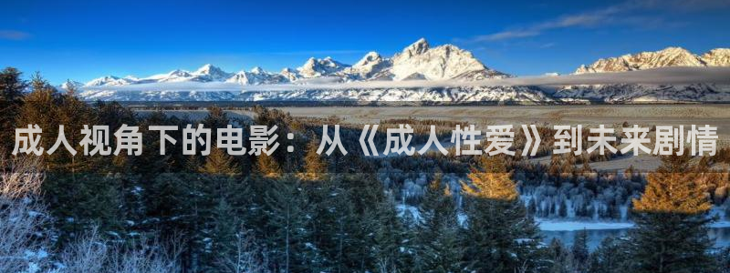 窝窝网 电视剧全集在线观看：成人视角下的电影：从《成人性爱》到未来剧情