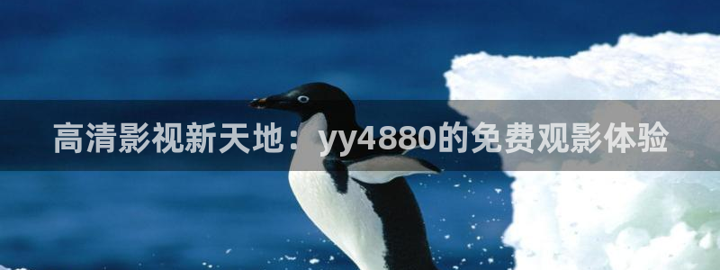 电影在线观看窝窝：高清影视新天地：yy4880的免费观影体验