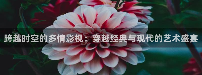 窝窝网在线观看免费观看电视剧：跨越时空的多情影视：穿越经典与现代的艺术盛宴