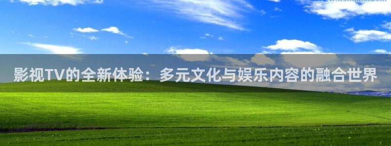 窝窝电影完整版免费：影视TV的全新体验：多元文化与娱乐内容的融合世界