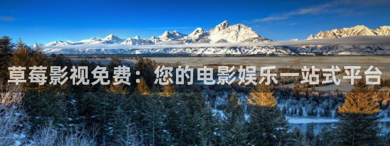 鲁鲁影院电视剧电影窝窝在线观看：草莓影视免费：您的电影娱乐一站式平台