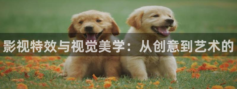 窝窝影院免费观看电视剧更新时间在：影视特效与视觉美学：从创意到艺术的